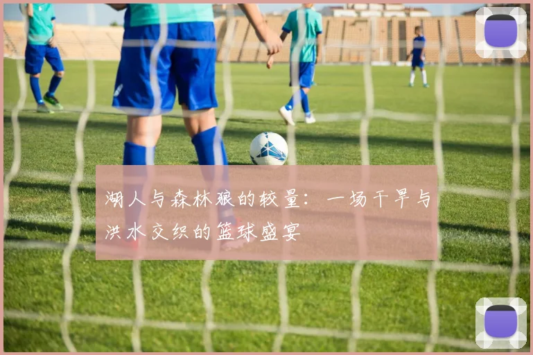 湖人与森林狼的较量：一场干旱与洪水交织的篮球盛宴