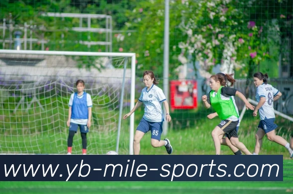 多媒体互动体验