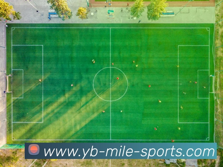 米乐体育APP 体育赛事宣传图