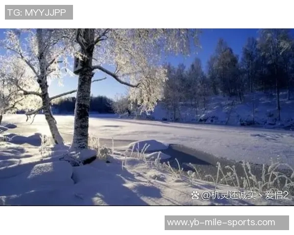 平静的圣诞夜没有惊喜与喧嚣让人感受到宁静的节日氛围